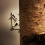 Freyas Verwunschener Wald