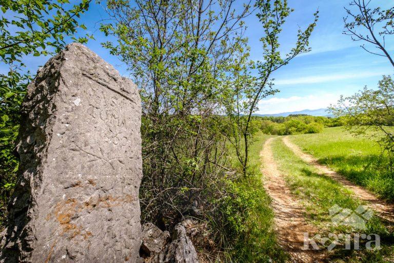 Soba Pobega Na Prostem ‘rešitev Iz Gmajne’ [Outdoor Escape Room ‘escape From Gmajna’] [Outdoor]