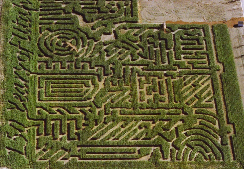 Thanksgiving Point Corn Maze