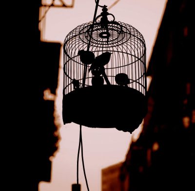 El Espía Minero [The Mining Spy ]