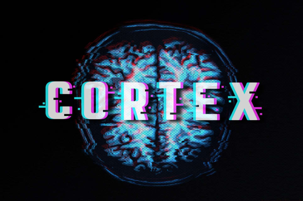 101 Cortex-19