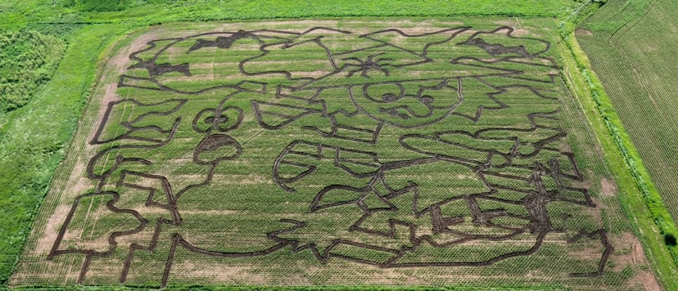 Spearfish Scare Corn Maze