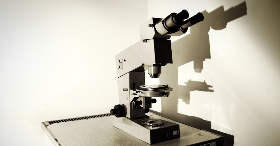 Elmegyógyintézet [Asylum]