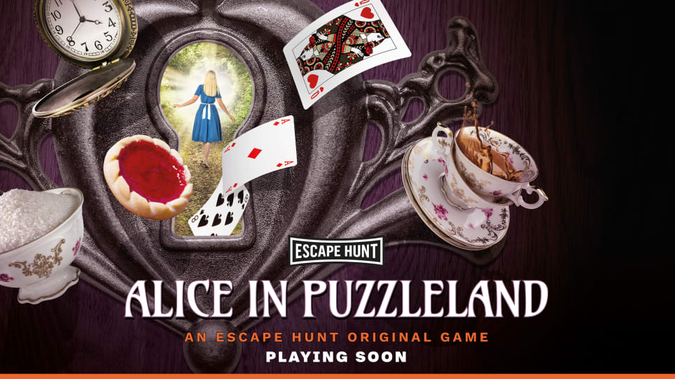Alice In Puzzleland