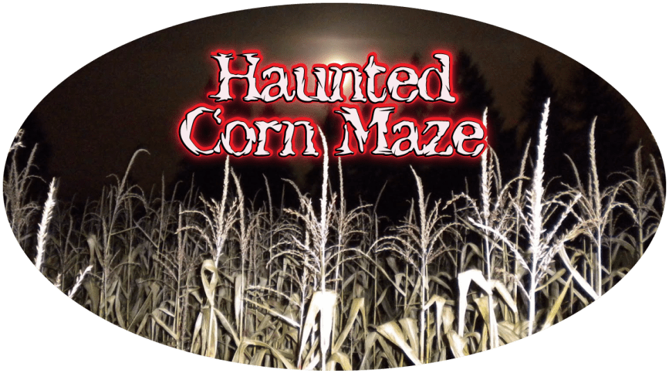 Northern Colorado Corn Maze