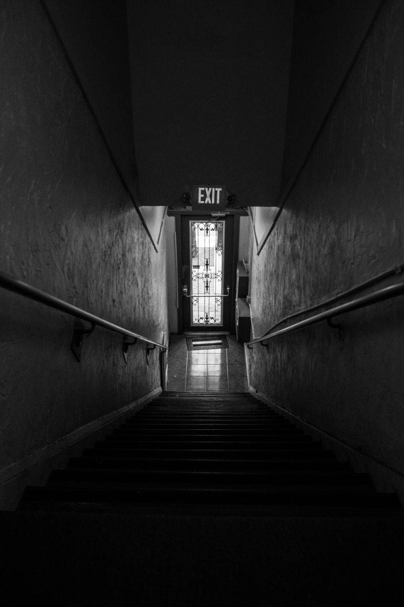 Betrayal At Jungle Island