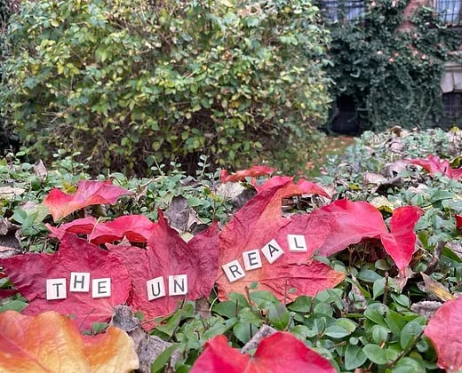 The Unreal