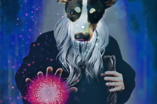 WizardQuest