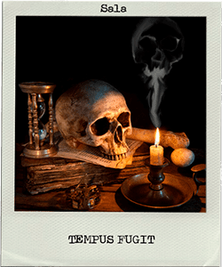 Tempus Fugit Escape Room [Outdoor]