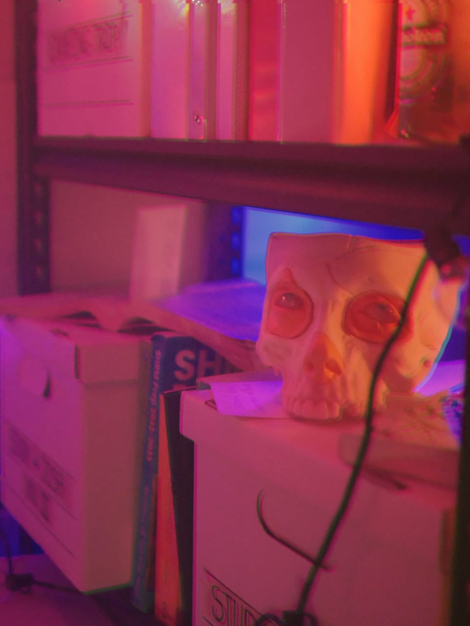The Shoebox Museum: A Private Immersive Experience