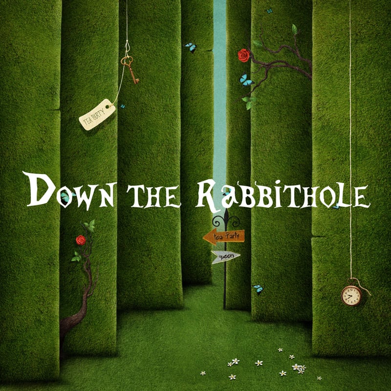 Down The Rabbit Hole
