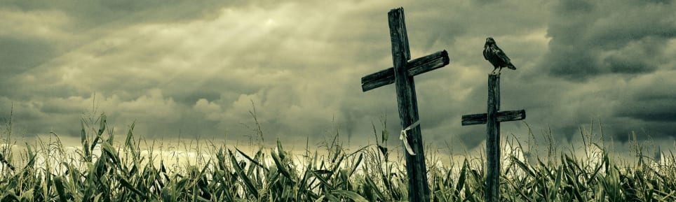 The Haunted Corn Trail