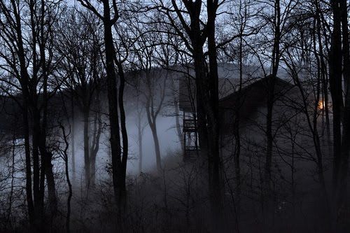 Sully's Haunted Cabin