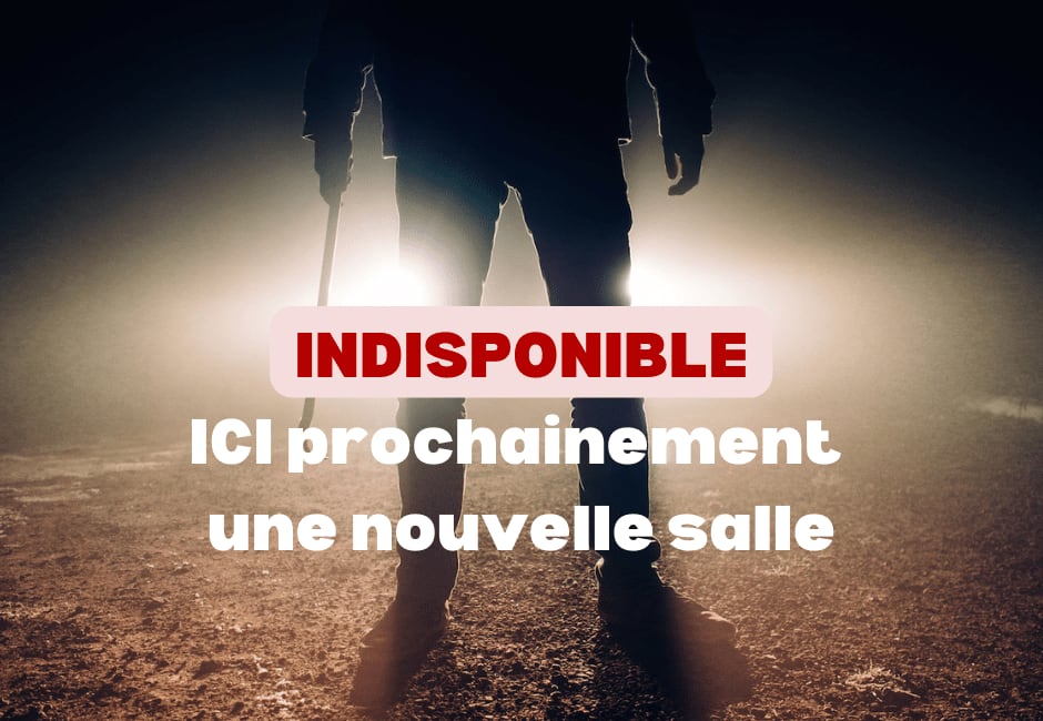 Le Tueur Au Sms [The Texting Killer]