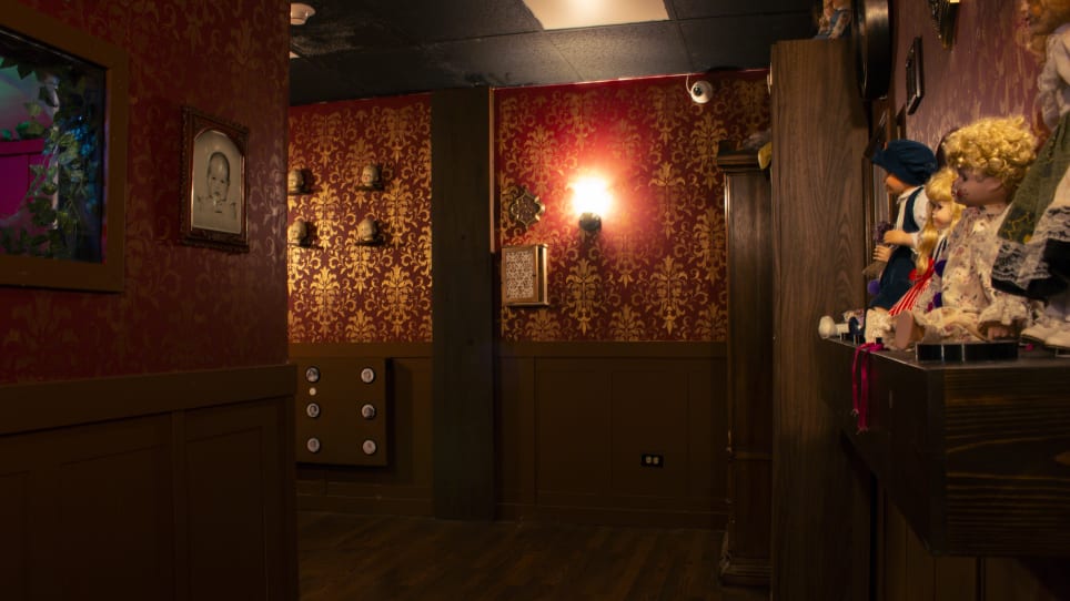 The Haunted Doll Shop