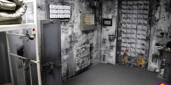 Камера Шоушенка