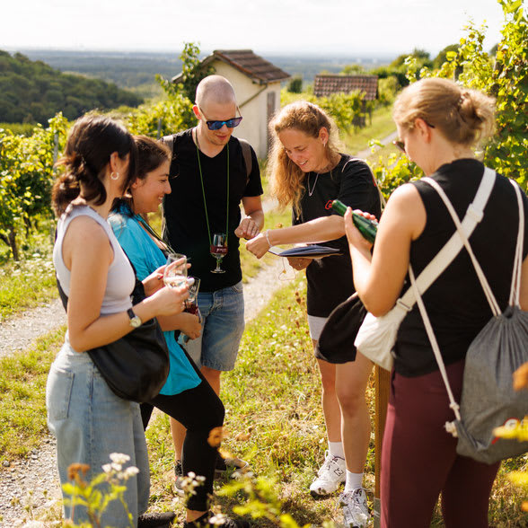 Die verschwundene Winzerin [The Missing Winemaker] Outdoor