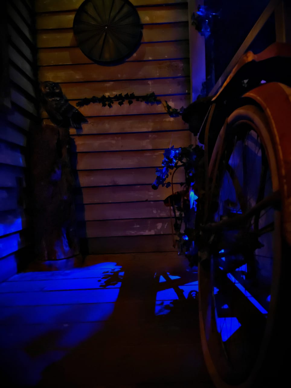 Origins: The Zodiac Files