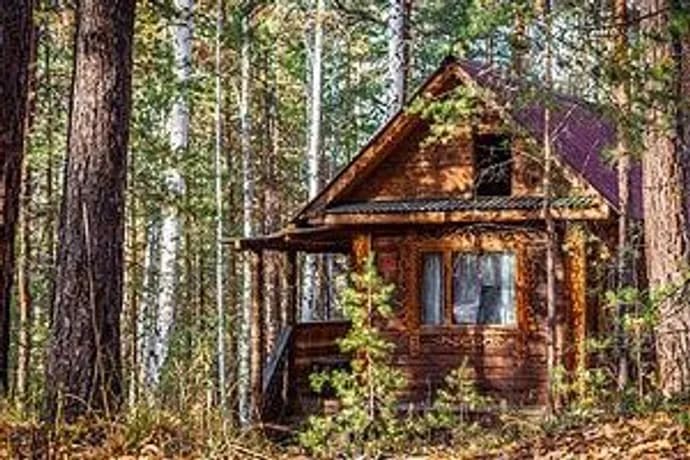 The Cabin