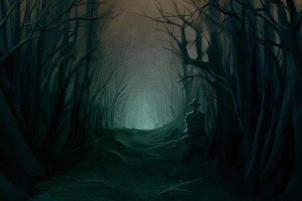 There’s something in the Woods