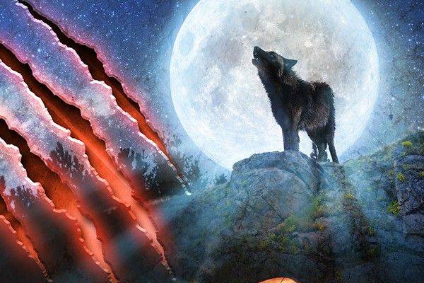 Ozark Howler Escape Room