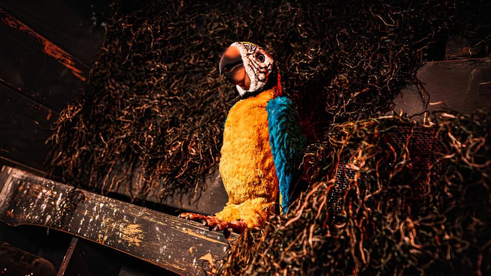 The Pirate’s Heart