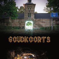 Goudkoorts