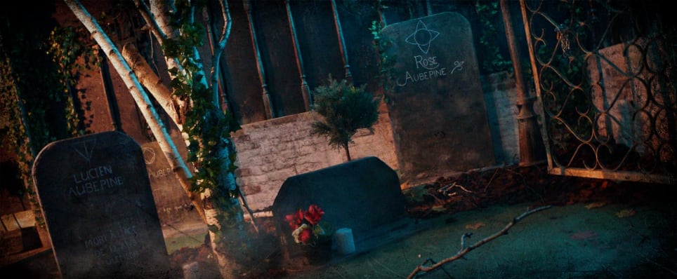 Le Cimetière Des Sœurs Aubépine