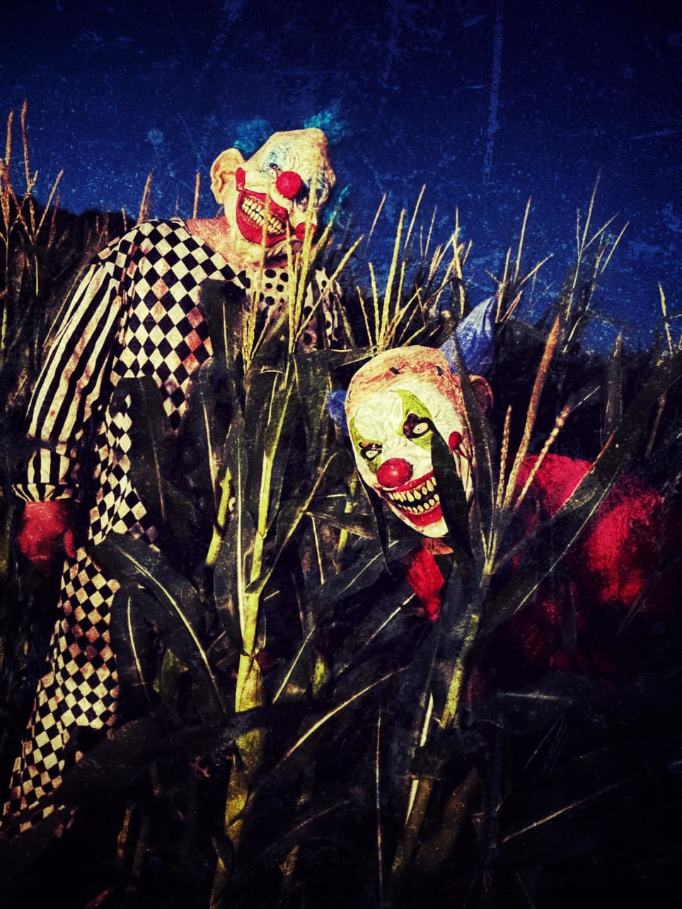 Sunshine Shelly's Nightmare Harvest