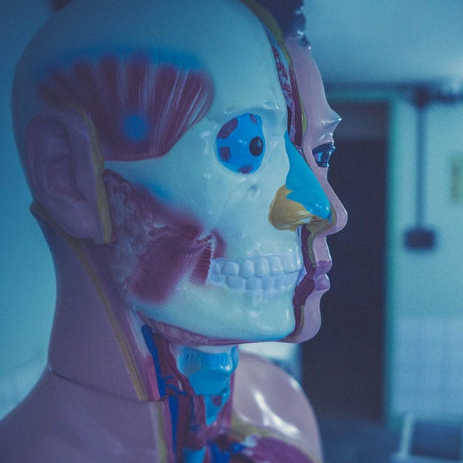 L'appartement Du Docteur Kang [Doctor Kang's Apartment]