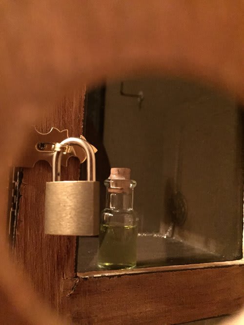 Da Vinci's Last Code