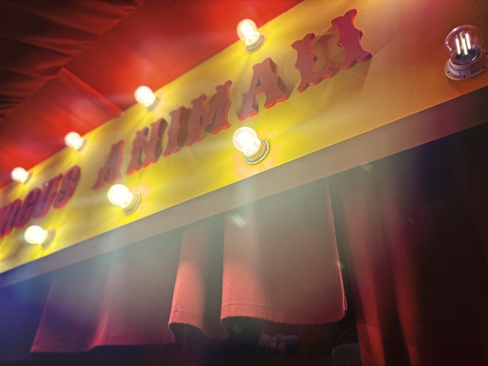 Circus Animali