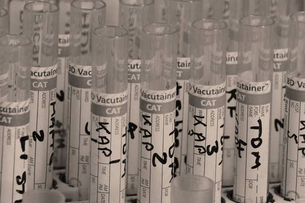 Bio Lab: Head To Head