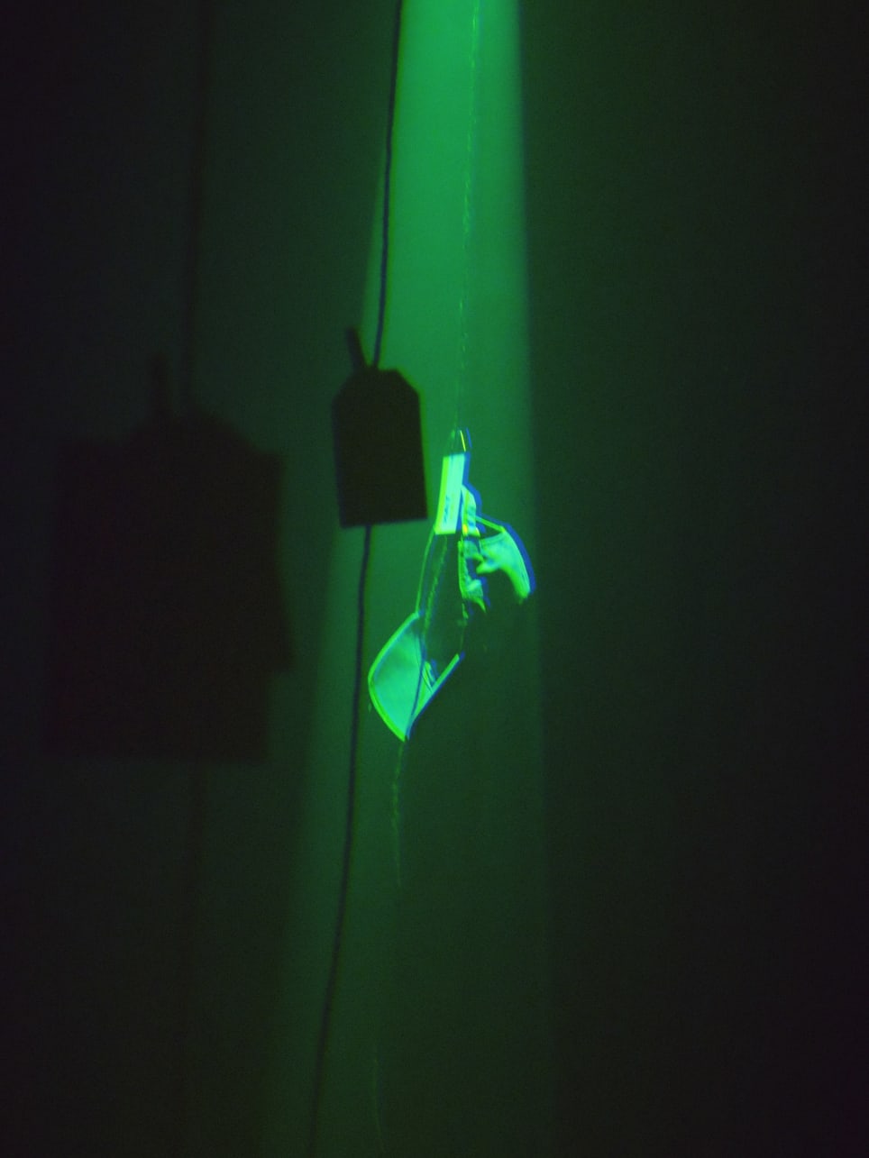 The Shoebox Museum: A Private Immersive Experience