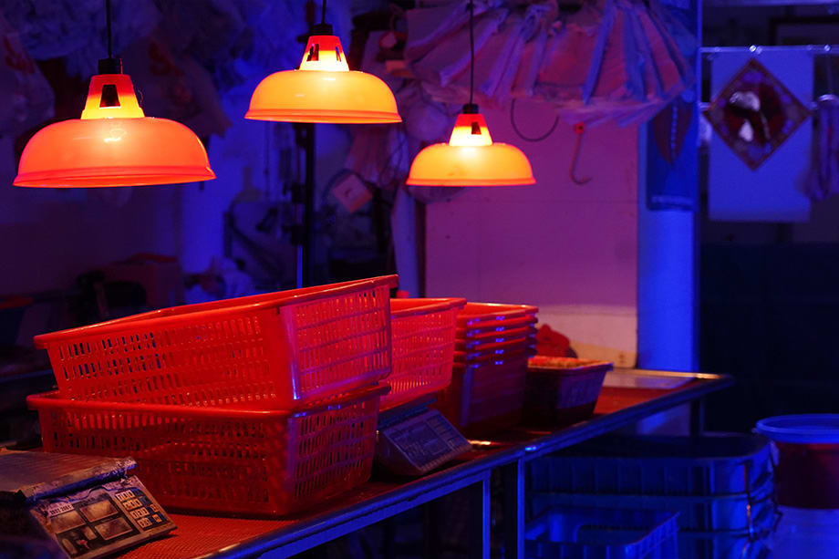 Forbidden Zone 724 [Season 2024]