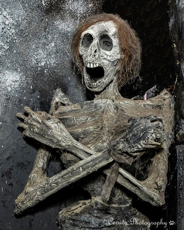 Bloodview Haunted House