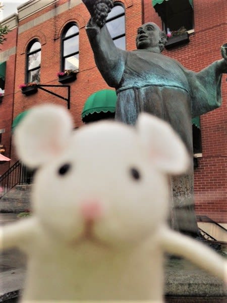 Mount Adams Mouse Hount [Outdoor]