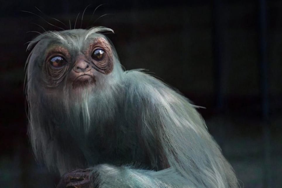 Fantásticos Animales en Hogwarts[Fantastic Animals at Hogwarts]