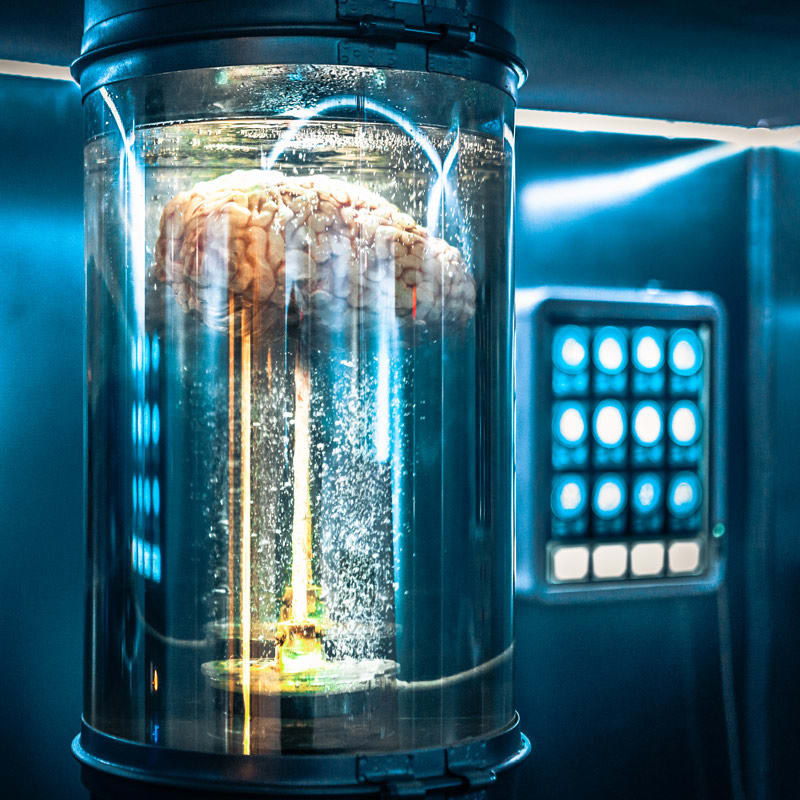 La Revanche Du Docteur Kang [Doctor Kang's Revenge]