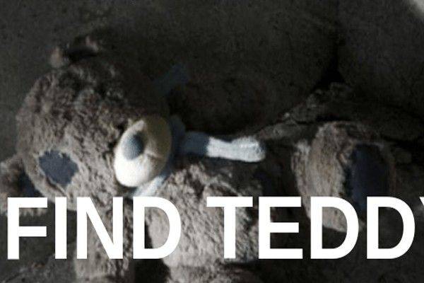 Find Teddy