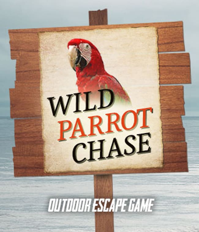 Wild Parrot Chase [Outdoor]