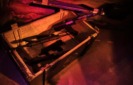 En Danger À Rio [In Danger In Rio]