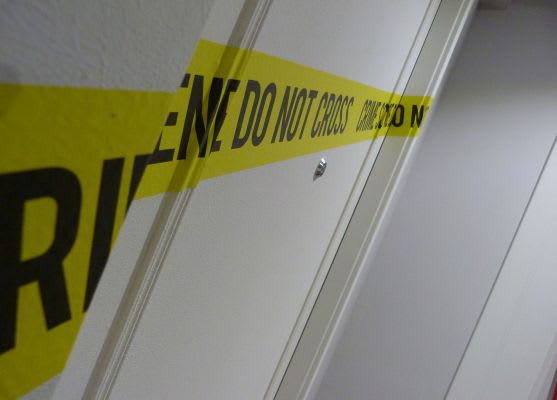 El Caso Vasiliev [The Vasiliev Case]