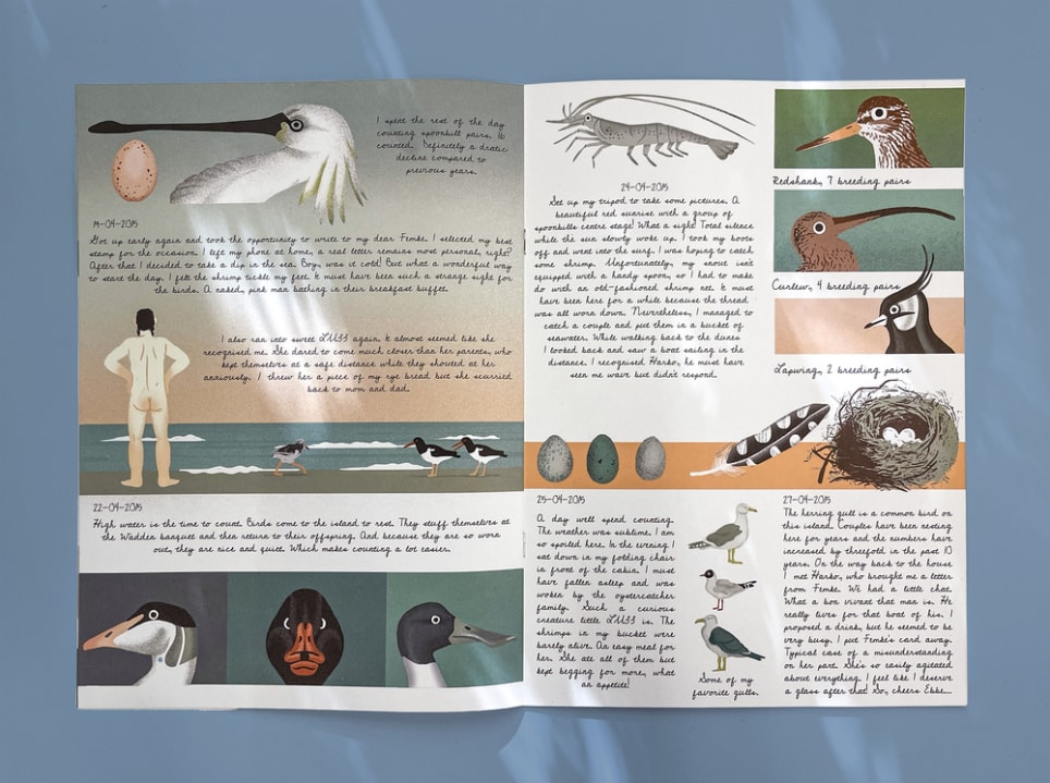 The Rottumereye Tragedy