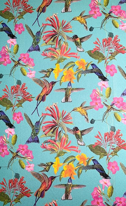 Duell: Kreativität [Duell: Creativity]