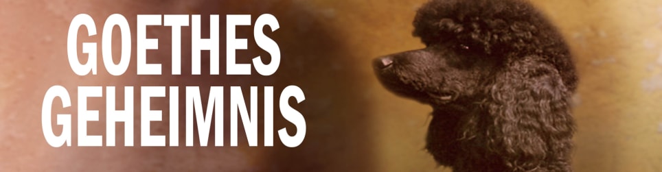 Goethes Geheimnis [Goethe's Secret]