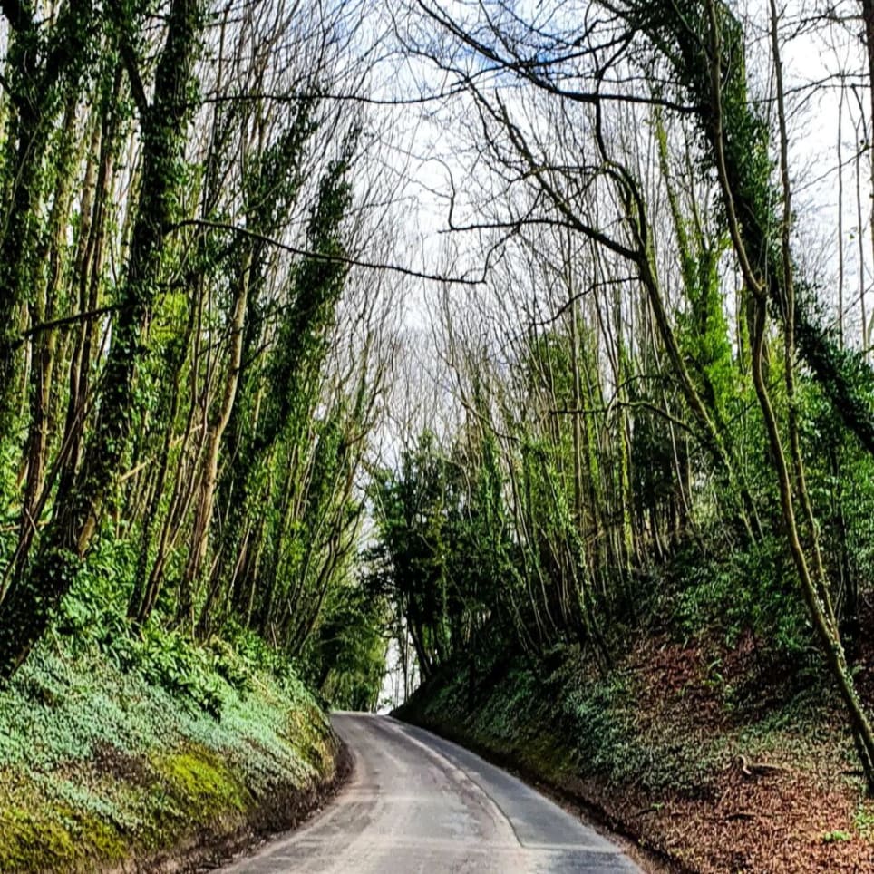 The Dragon Trail [Outdoor]