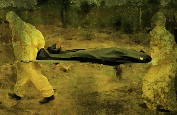 The Pandemic