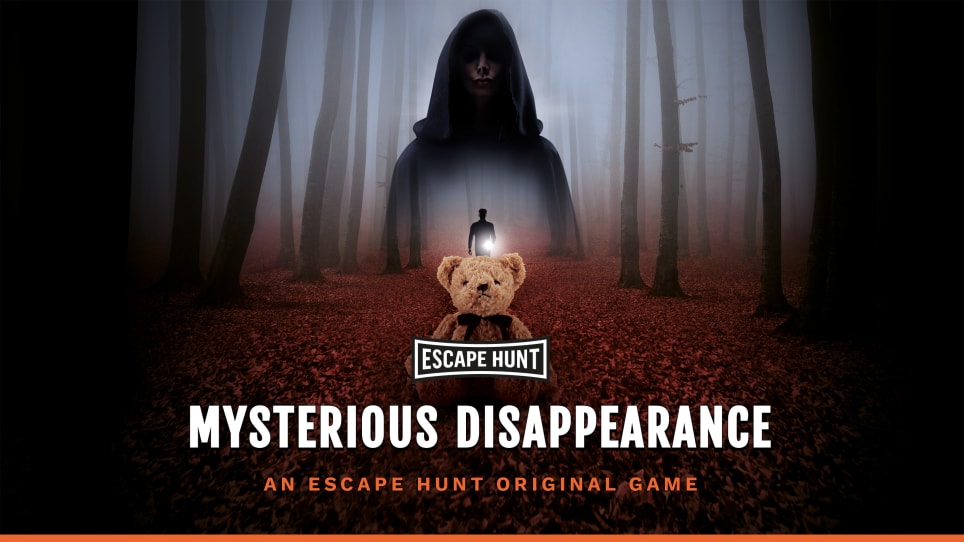 Mystérieuse Disparition [Mysterious Disappearance]