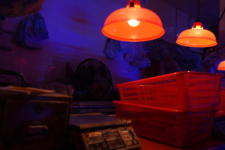 Forbidden Zone 724 [Season 2024]